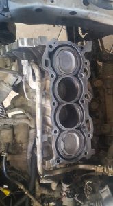 15253434_1255706594492202_7563043204261897034_n